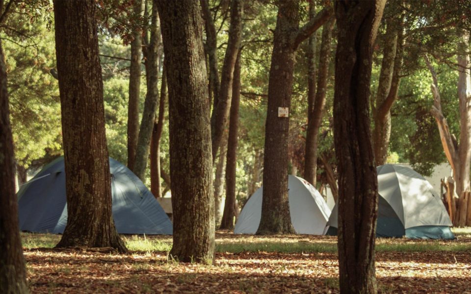 Campings Los Horneros